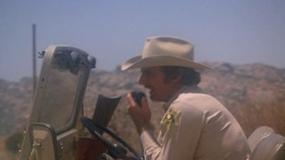 Three Guns for New York