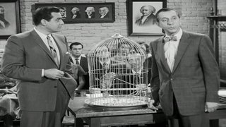 The Case of the Perjured Parrot