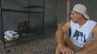 To the rescue: Episode 4