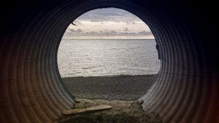 The Water Pollution Cover-Up