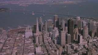 The Day of the Rhino