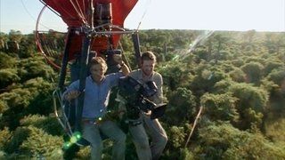 Diaries - Forest Fliers