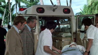 The Year Of The Horse (2)