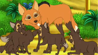 Diego's Wolf Pup Rescue