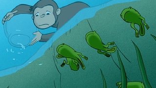 Curious George Discovers the Poles