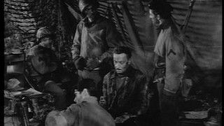 No Hallelujahs for Glory