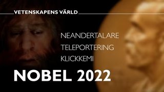 Episode 35