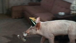 Won't You Come Home, Arnold Ziffel?