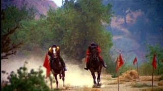 The Horse Race