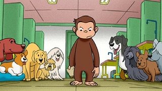 Curious George Season 1 2006 The Movie Database Tmdb