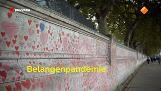 De belangenpandemie