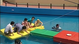 Summer Vacation Special - Hawaii Swimming Pool Special