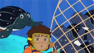 Rescue the Sea Turtles