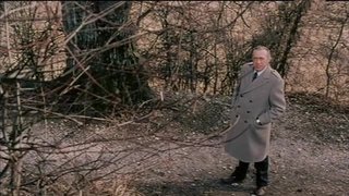 Waldweg