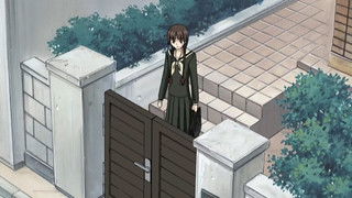 Beware of Yellow Roses