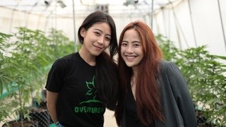 Thai High