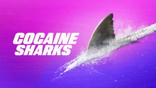 Cocaine Sharks