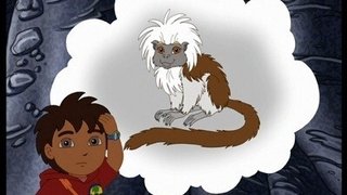 Cotton-Top Tamarin Cave Rescue