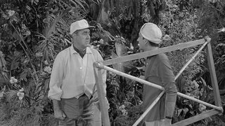 Three Million Dollars More or Less