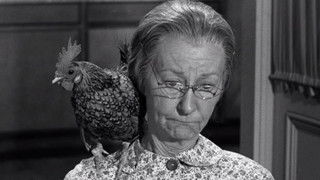 The Clampetts Entertain