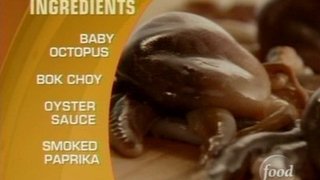 Pilot: Octopus, Duck, Animal Crackers