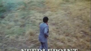Needlepoint