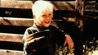 Auktionen i Backhorva