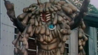 The Shocking Wonder Bug