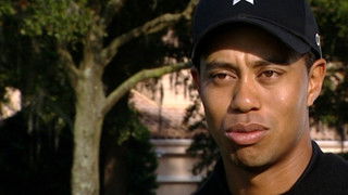 Tiger's Prey - Tiger's Favourites