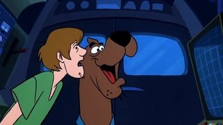 Decoy for a Dognapper