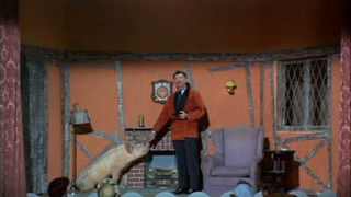 A Star Named Arnold is Born (Part 1)