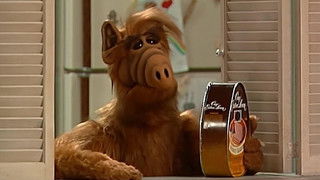 I've Got a New Attitude