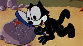 Moo Moo Island Oysters