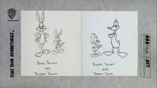 From Looney Tunes to Tiny Toons -  A Wacky Evolution