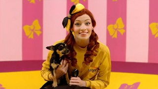 Brush Your Pet's Hair