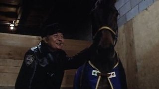 May the Horse Be with You