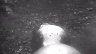 The Krotons (3)