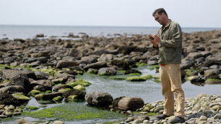 Out Of The Depths Of Time