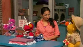 Bert’s Pigeon Search