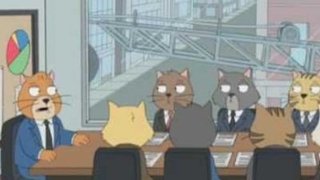 Cat Staff Meeting