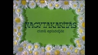 Nagytakarítás