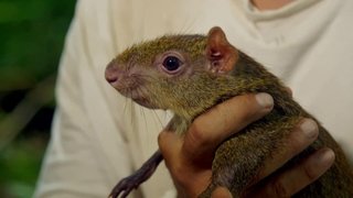 Mexico: Episode 4