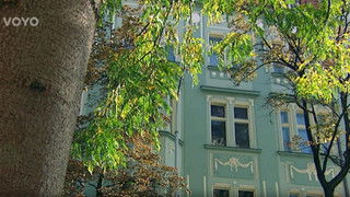 Snad to vyjde příště