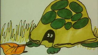 When You're Going To Fly-Fly High