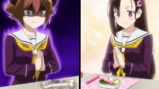 The Wild Habits of a Troubled Animal