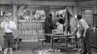 Lucy Raises Chickens