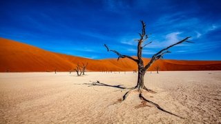 Viaggio nel nulla