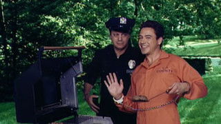 Robert Downey Jr./Fiona Apple