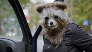 Waschbär und Kaninchen