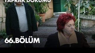 Episode 66